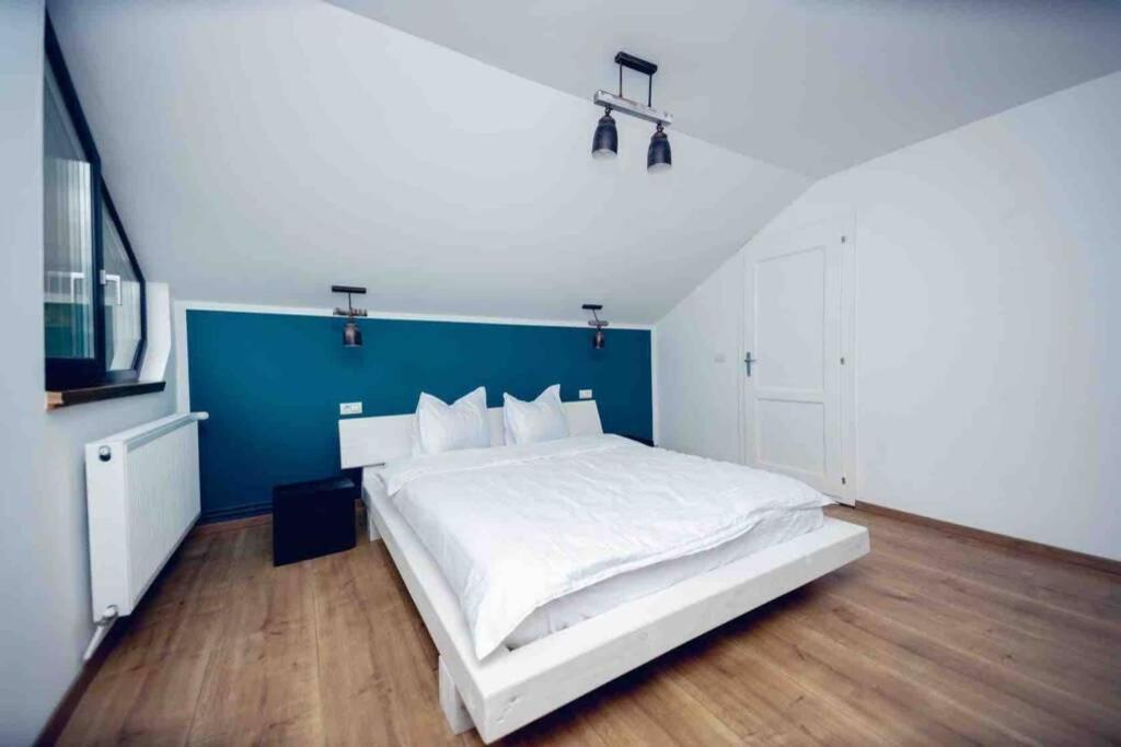Valley House Cabana cu priveliste de vis Sita Buzăului Extérieur photo