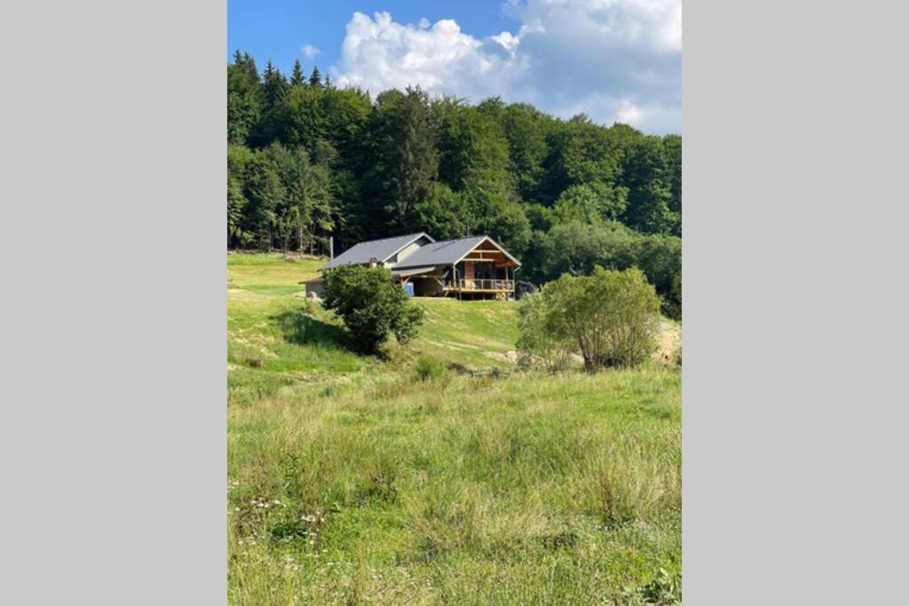 Valley House Cabana cu priveliste de vis Sita Buzăului Extérieur photo