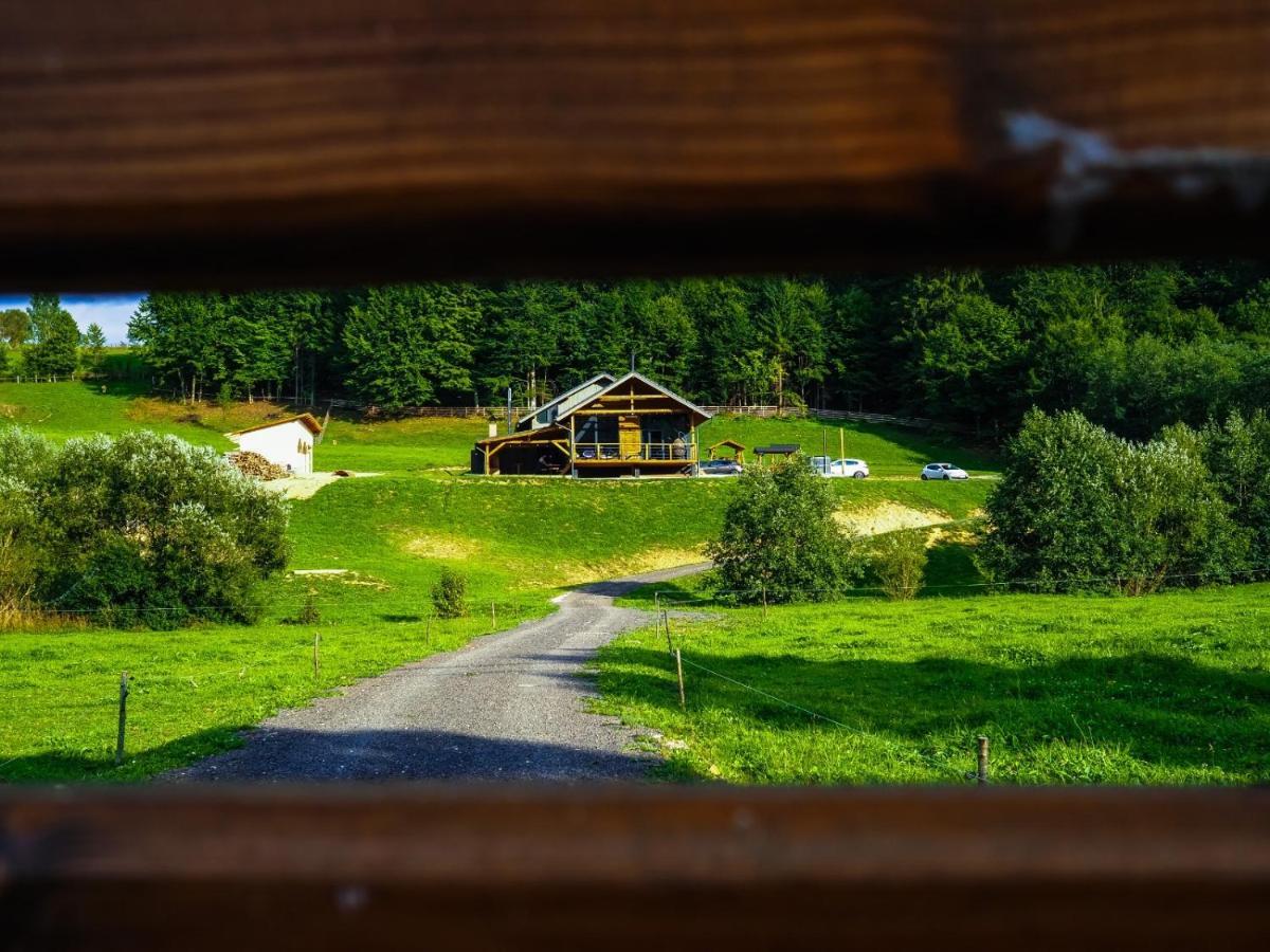 Valley House Cabana cu priveliste de vis Sita Buzăului Extérieur photo